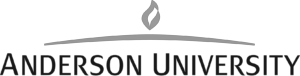Anderson University IN